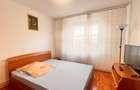 Apartament 2 camere Dristor, 9 minute de metrou, CENTRALA, PET-FRIENDLY - 26