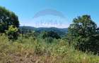 Teren 3,871mp Varmaga / None - 13
