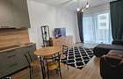Apartament 2 camere Silk District - 520 euro - 1