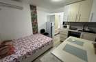 Apartament 1 camera la Mansarda - 10