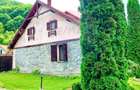 Pensiune cu 13 camere de vânzare in Bulz - 43