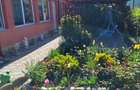 Casa in Smardan cu centrala termica si  utilitati la pret de apartament - 5