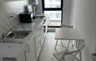 STUDIO PARCUL CAROL, PRIMA INCHIRIERE, PET-FRIENDLY, METROU 10 MINUTE - 6