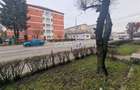 Inchiriere apartament 3 camere , situat in Targu Jiu, Str Unirii - 17
