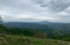 Teren extravilan 2ha, priveliste panoramica spre munti /Poiana Marului - 7