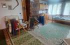Cabana Lunca Bradului- 1200 mp teren - 6