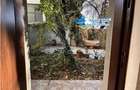 Inchiriere garsoniera IN VILA Piata Victoriei Titulescu CURTE PROPRIE - 11