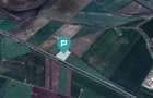 Teren 22.500 mp–Pecica, jud. Arad,Posibilitate PUZ - 14