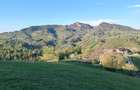 Teren intravilan panoramic în Peștera, Moieciu - 11048 mp - 4