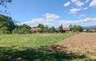 Teren intravilan pentru casa sau vacanta, Lunca, Baia de Cris - 2