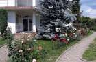 Casa cu 5 camere, 386 mp, Sangeorgiu de Mures, zona Apollo Spa - 13