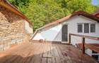 TRAIESTE LA POALELE PADURII!CASA 3 CAMERE APROAPE DE PTR. LUI SOLOMON - 40