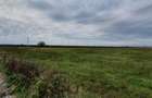 PLOIESTI zona de Centura - intravilan industrial 23500 mp la 7 eu/mp - 6