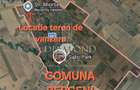 0% Comision! Teren intravilan 430mp Comuna Berceni - Strada Miorita - 2