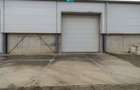 Hală industrială de 538mp Jebel, Timiș - 5