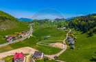 FUNDATA CENTRU | 3.962 mp ASFALT + UTILITĂȚI | Vedere Bucegi - 8