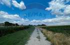 Teren 4.350 mp Balta Pasarea - 30 minute Bucuresti - 3