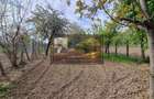 Casa Paunesti/Viisoara/Vrancea/Teren 969 mp - 7