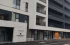 Spatiu 119 mp, loc de parcare, Central, Traian Grozavescu - 1