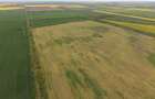 Teren investițional strategic 44.700 mp Arad Vest - 14