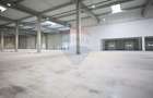 Hala de vanzare, Sc 7014mp, Zona Biharia - 14