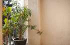 Mansardă + Et1, zona Decebal/P-ta Muncii, sediu birouri, direct proprietar - 5