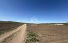 TEREN EXTRAVILAN DE VANZARE | 23 EURO/MP | 2900 MP | ZONA AEROPORT - 4