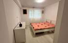 Apartament cu 2 camere de inchiriat, gata de mutare, Drumul Binelui - 7
