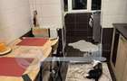 Apartament 2 Camere Decomandat Nicolina Complet Renovat - 6