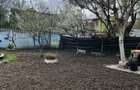 Casa cu 4 camere, complet renovata - Timisoara - 3