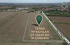 Teren intravilan de 25400 mp cu potențial excepțional pentru investiție în Zăbra - 4