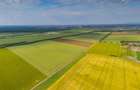 Teren Extravilan Arad de vanzare - 5