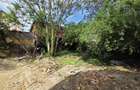 COMISION 0% CASA VECHE CU TEREN STR PREYER IOSEFIN - 12