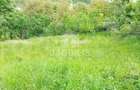Teren intravilan | Budiu Mic | 994 mp - 6