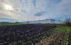 Vanzare Teren pretabil constructie hale, 28.100 mp, Halchiu - 10