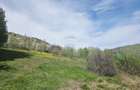 Teren 1,000mp Piatra-Neamt / Zona Fermelor - 4