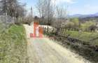 TEREN 2.495 MP | BRAN – SOHODOL | VEDERE PANORAMICĂ SPRE BUCEGI - 12