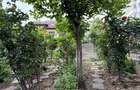 Apartament 2 camere in vila cu curte Parcul Circului - 13