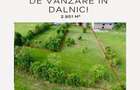 Teren intravilan de vânzare în Dalnic! - 1