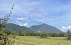 Teren intravilan 850mp Zarnești-Bran, natura-relaxare - 4