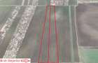 SABARENI, LOT 10.000 MP! - 2