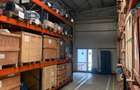 Hala de vanzare, an 2008, zona industriala Bacau - 13