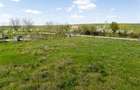 RECO Teren intravilan in Les - 4