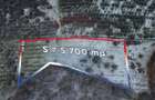 Teren 5,700mp Somcuta Mare / investitie cu potential major - 9
