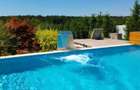 BRANESTI-VILA SUPERBISSIMA,LA LAC,PISCINA,FANTASTICA,UNICAT,700000 EURO - 4