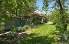 Casa cu 4000 mp teren, Letca Noua, Giurgiu — 1h de București - 2