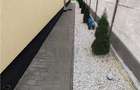 Duplex pe parter - mobilat - utilat - toate utilitatile - beci - pod mansardabil - 11