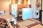 Apartament Izolat-Renovat-Utilat în Sebeș str.M.Kog bl 82 etaj2 39.900 - 5