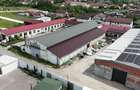 De vanzare Cladire Industriala Filiasi (250 m de DN6/E70) - 6