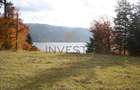 Oportunitate langa lacul Colibita! Teren intravilan 12.588 mp! - 4